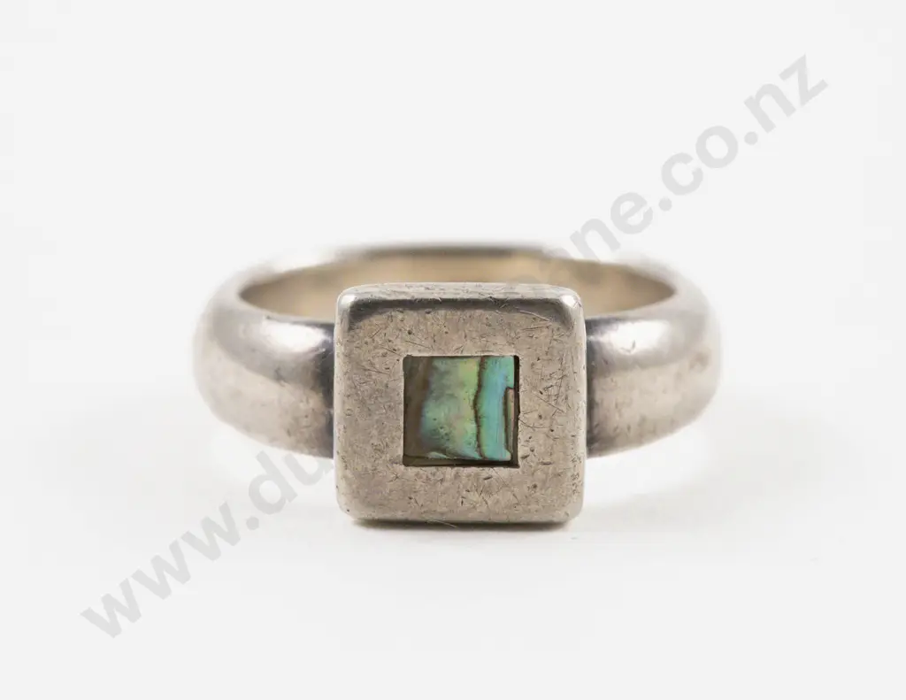 S/S and Paua Ring Image 1++