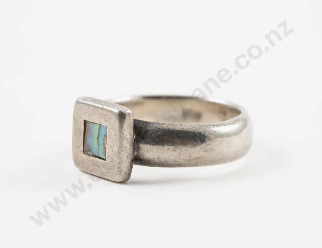 S/S and Paua Ring Image 1++
