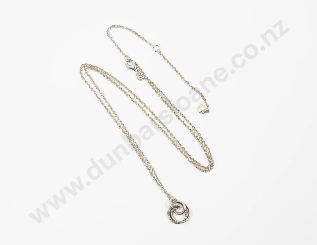 Pandora S/S Family Always Encircled Pendant on Neck Chain Image 1++