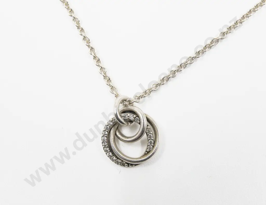 Pandora S/S Family Always Encircled Pendant on Neck Chain Image 1++