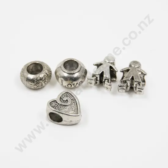 Five Pandora Style Charms