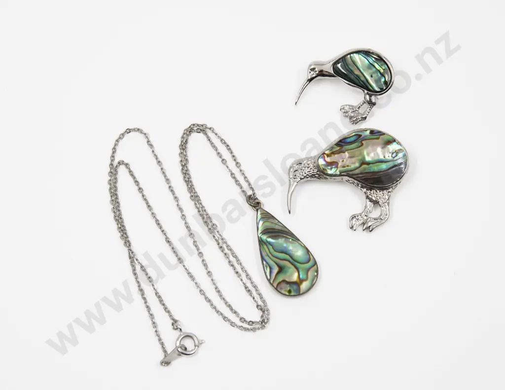 Two NZ Paua Kiwi Brooches with Paua Pendant on Neck Chain Image 1++
