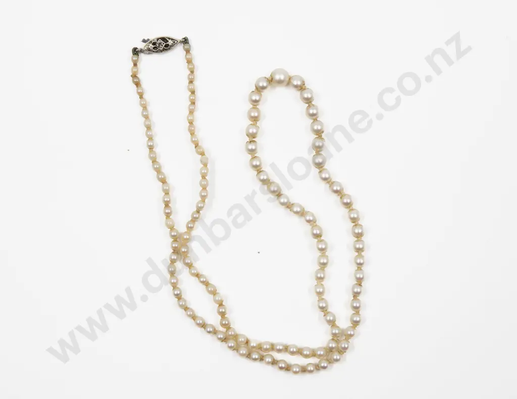 Single Strand Slightly Graduated Cultured Pearl Necklace Image 1++