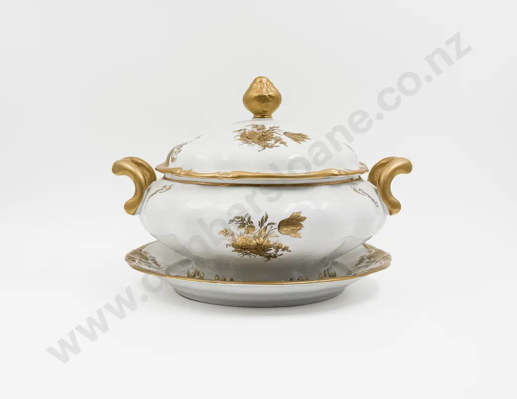 Limoges Large Tureen & Plate Image 1++