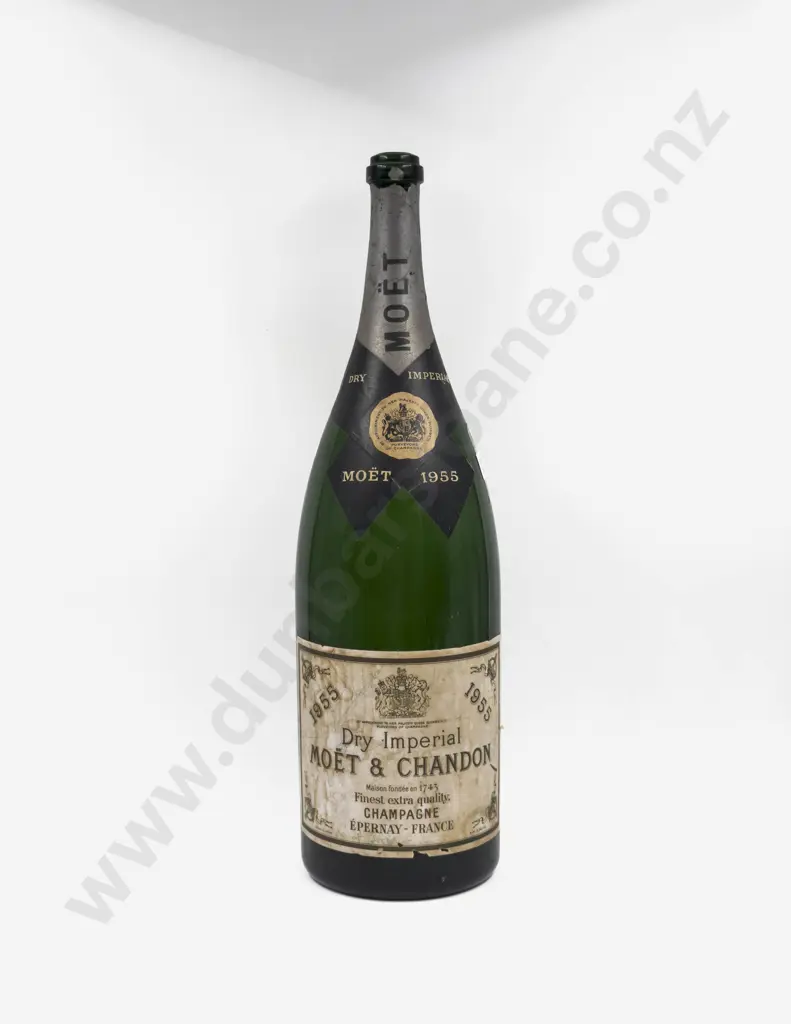 Large Novelty Moet Chandon Wine Bottle Image 1++